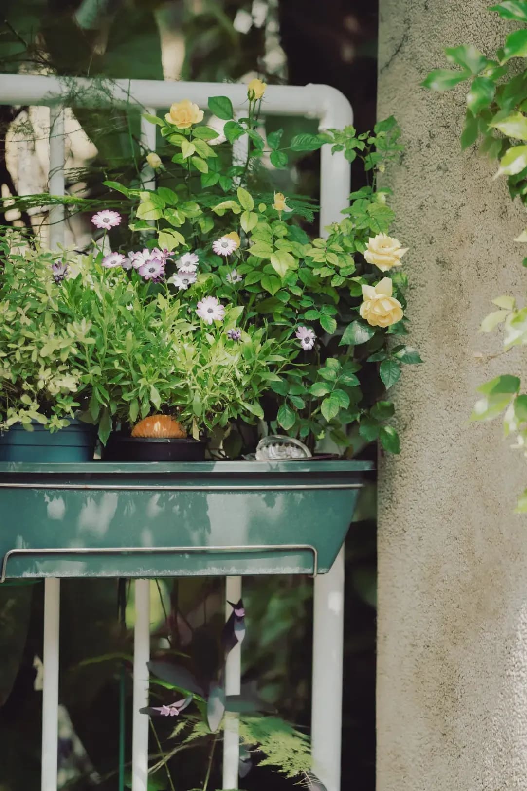 Spring Lawn Prep Tips for a Healthier Garden