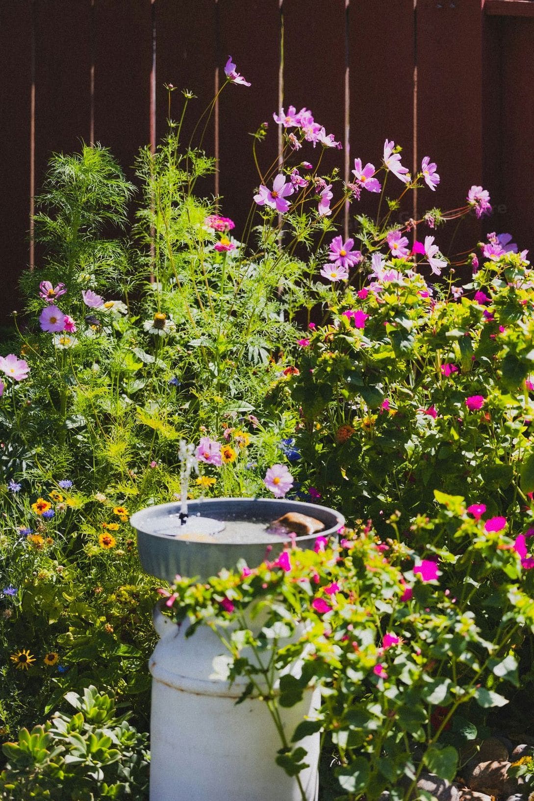 Maple Grove Garden Care 11