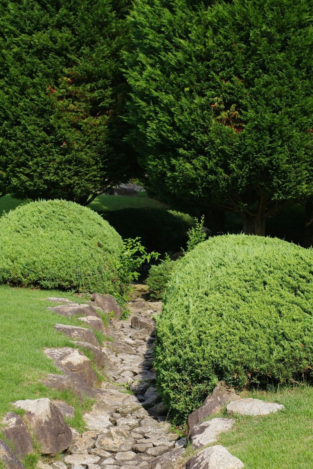 Maple Grove Garden Care 15