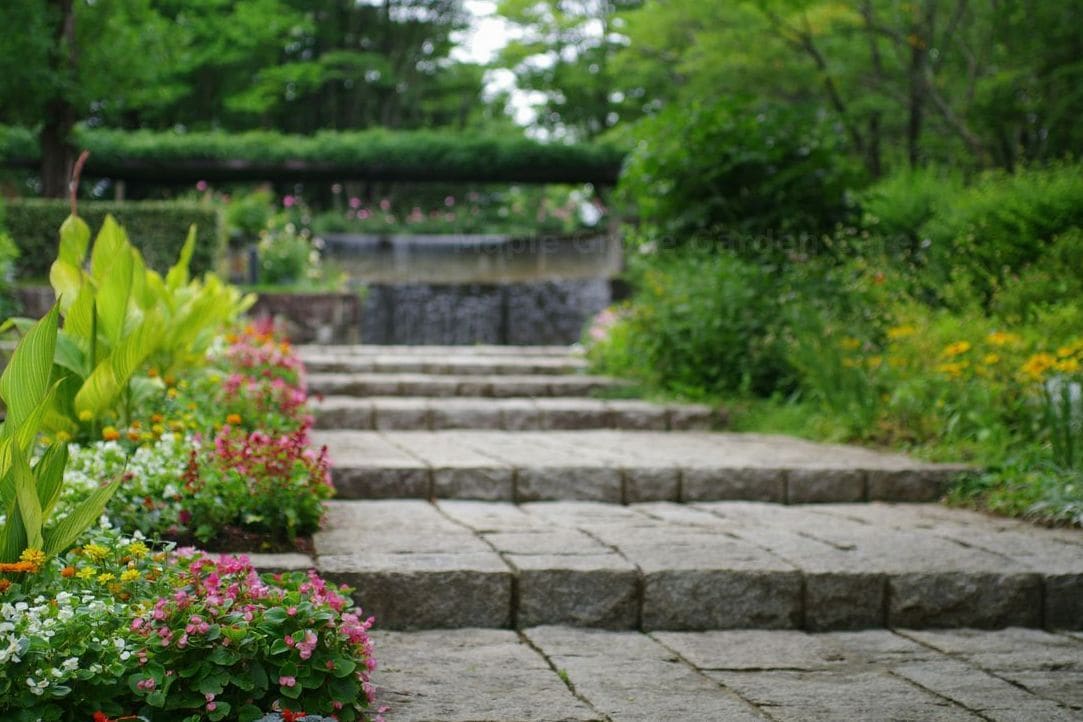 Maple Grove Garden Care 2