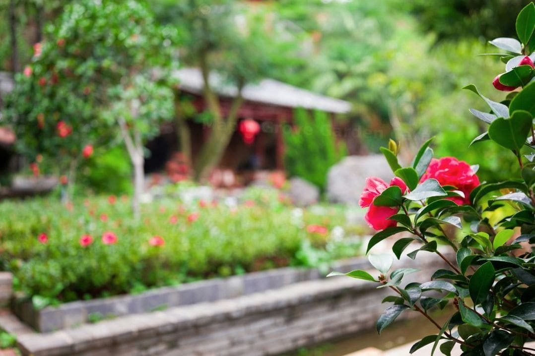 Maple Grove Garden Care 3