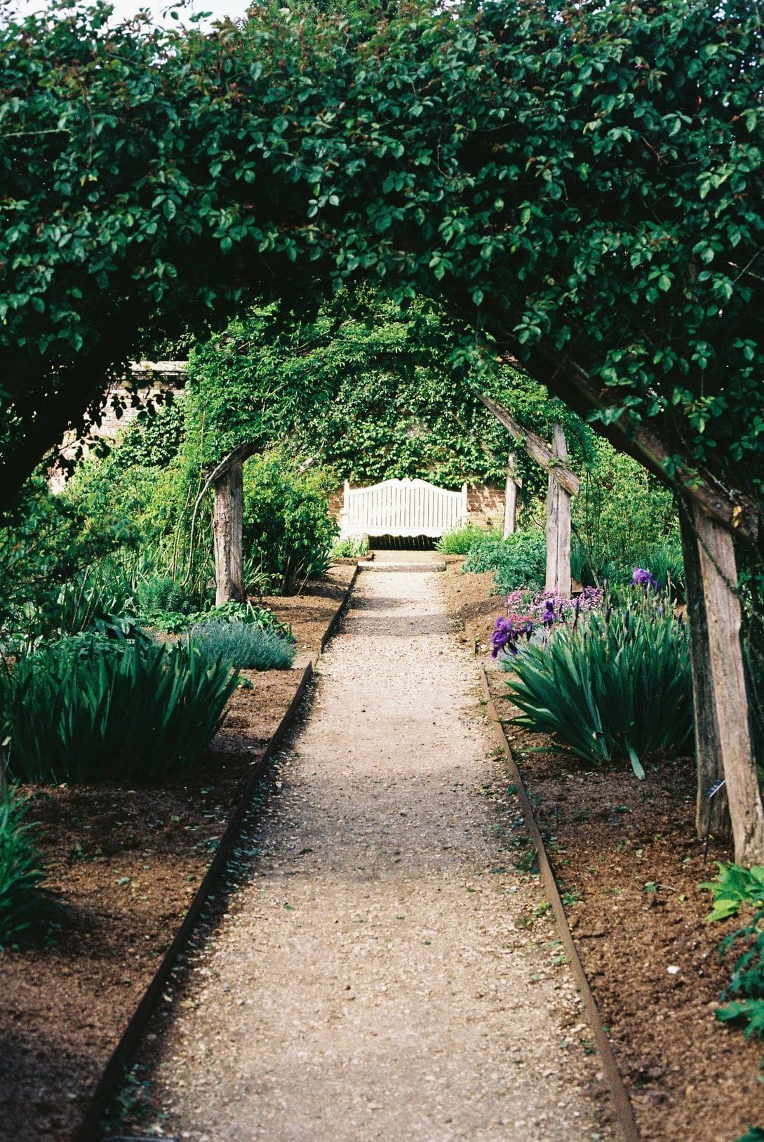 Maple Grove Garden Care 7