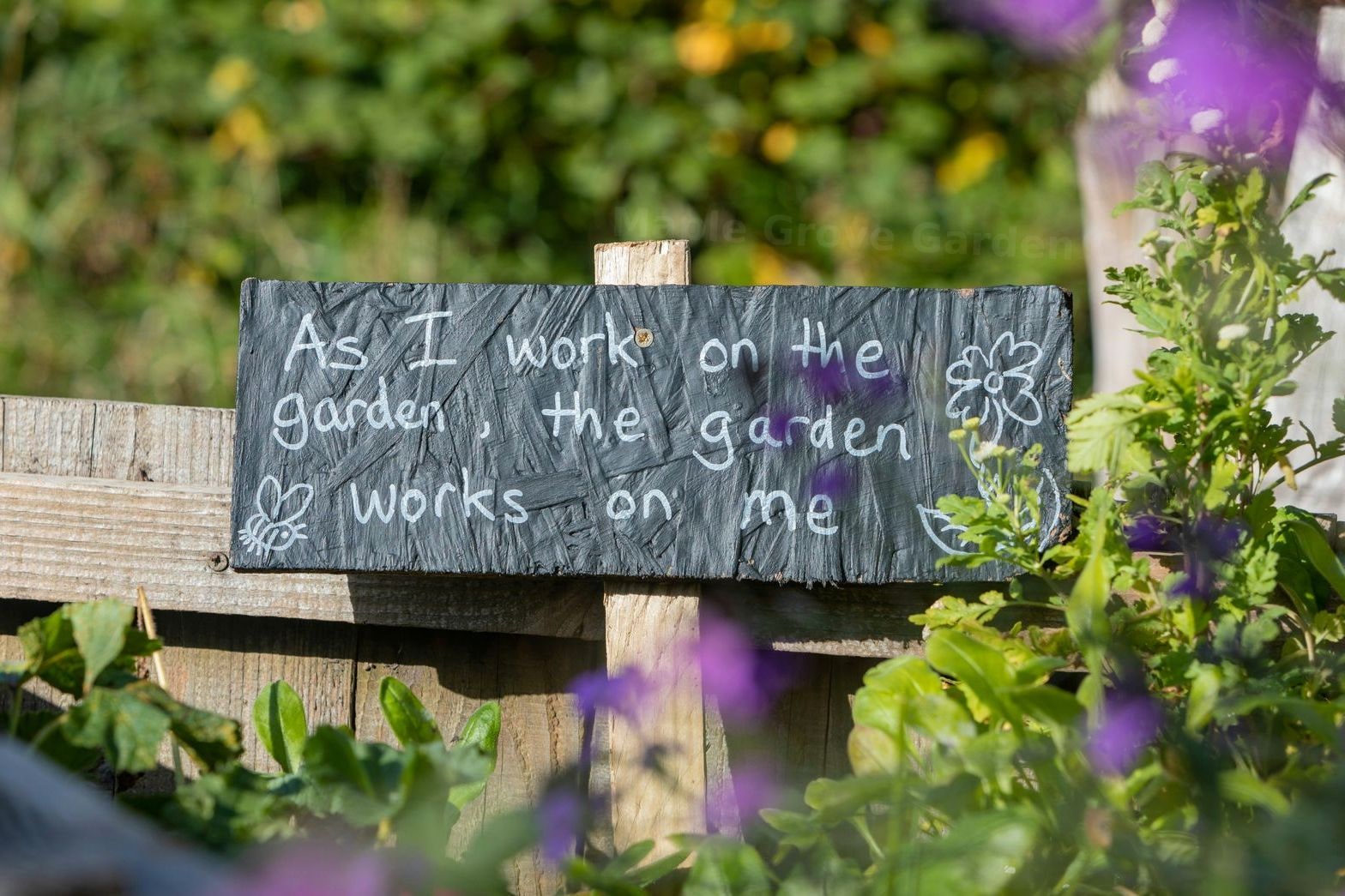 Maple Grove Garden Care